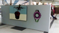 31_fly3.jpg